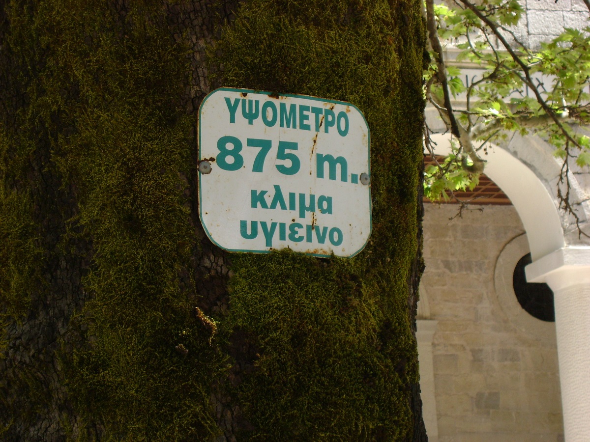 DSC02951.JPG