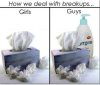 funny-pictures-how-we-deal-with-breakups-300x255 (1).jpg