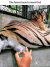 FB_IMG_1592297512409.jpg
