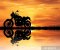 posters-moto-au-coucher-du-soleil.jpg.jpg