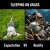FB_IMG_1603427737437.jpg