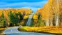 autumn-forest-mountain-road-british-columbia-canada-1920x1080.jpg
