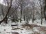 IMG_20181227_091319.jpg