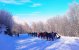 IMG_20190102_193300.jpg