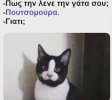 9EC1E5F6-8B7E-442C-93F8-EE1565C1819A.jpeg