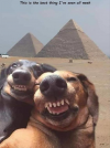1613232069915.png