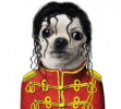 1613232265785.png