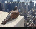 1613321026991.png