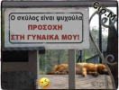 1613576356505.png