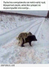 1613576428213.png