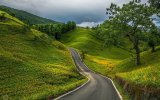 hd-achtergrond-met-groen-landschap-met-weg-in-de-heuvels.jpg