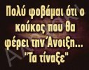 DDF10F79-7EDF-4E78-9D47-6FE88DBEDFDB.jpeg