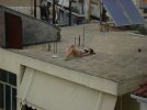 DSC01395.JPG