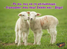 1619884392247.png