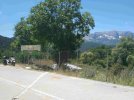 IMG_20210702_135041_compress39.jpg