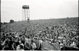 p213-Woodstock-crowd-2-1240x803.jpg