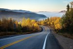 nature-forest-road-mountain-mist-autumn-download.jpg