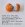 36C901D3-8DFD-4742-A73D-69D54D4009E1.jpeg