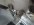 IMG_20220411_124031.jpeg