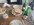 IMG_20220605_154722_compress65.jpg