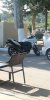 FB_IMG_1720857201295.jpg