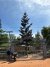 IMG_2974.jpeg