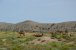 DSC_0059.JPG