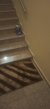 IMG_20250213_210201.jpg