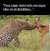 IMG_4083.jpeg