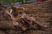 GAJSER-MOTOCROSS-GP-2-CAS-2025.jpg.jpg