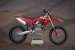 DUCATI DESMO450 MX (2).jpg