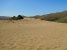 DSCN5303.JPG