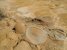 DSCN5364.JPG