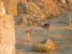 DSCN5492.JPG