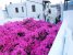 DSCN5907.JPG
