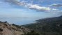 IMG_7137.jpeg