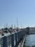IMG_5509.JPEG