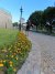 IMG_4167.JPG IMG_4167.JPG
