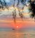 FB_IMG_1788242202055.jpg