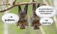 FB_IMG_1559064830212.jpg