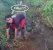 yC1spRLs_2019703051042.jpeg