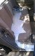 zvQV1njv_2019707071416.jpeg