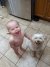 Qarz5cEH_2019708070536.jpeg