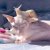 rLkwx3bn_2019709002819.jpeg
